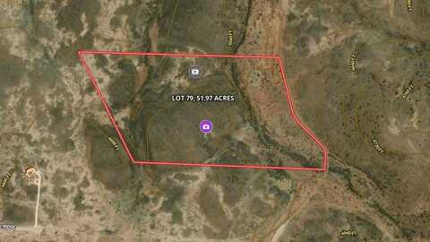 Tract 79 Sierra La Rana, Alpine, TX 79830