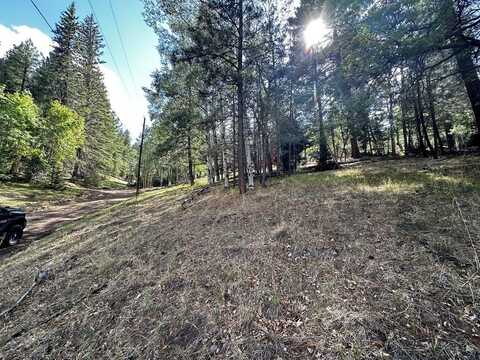 Turkey Hunt Trl, Cloudcroft, NM 88317