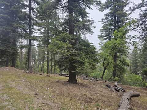 000 Canyon Trl, Cloudcroft, NM 88317