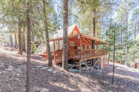 14 Big Tree Ln, Cloudcroft, NM 88317