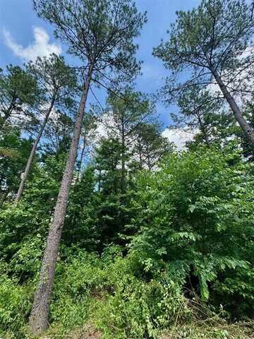 125 Pawpaw Trail, Broken Bow, OK 74728
