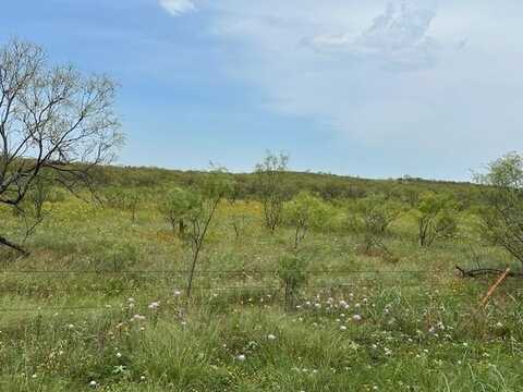 4523 SW Timber Lane Road, Indiahoma, OK 73552