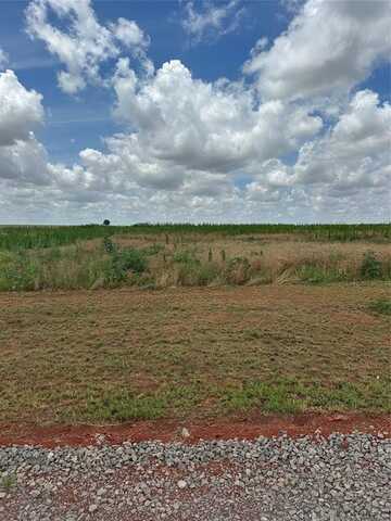 30786 White Horse Lane, Cashion, OK 73016