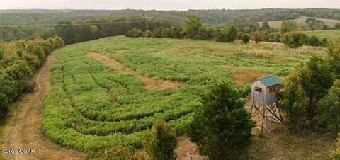 0000 Low Gap Road, Noel, MO 64854