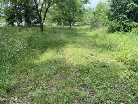 11110 Mulberry Road, Neosho, MO 64850