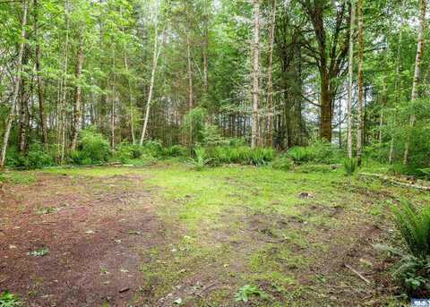 NKA Lakenes Rd, Quilcene, WA 98376
