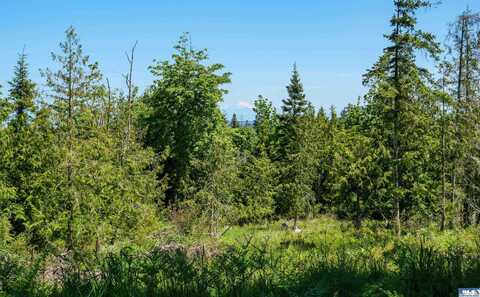 Little Loop Drive, Port Angeles, WA 98362