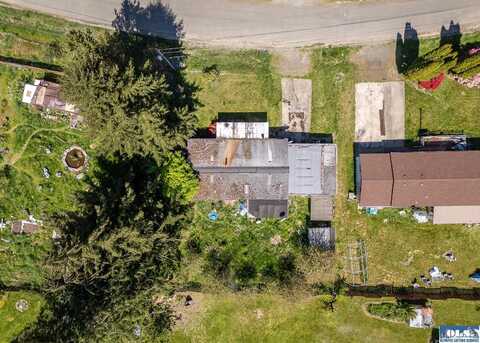 130 Pinto Lane, Brinnon, WA 98320