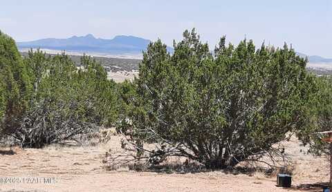 1244c2 Shadow Mountain Pkwy, Seligman, AZ 86337