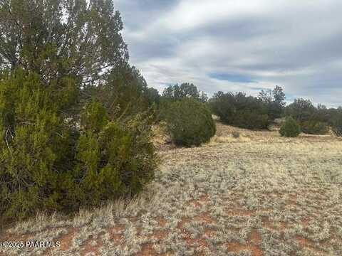 Lot 382nw Gable Road, Seligman, AZ 86337