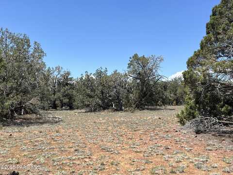 61 Norma Nw4 Road, Ash Fork, AZ 86320