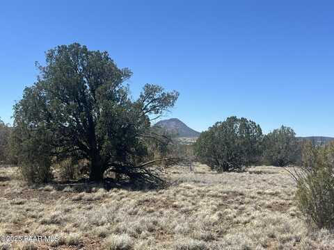 10 N2 Off Of Looking Glass, Ash Fork, AZ 86320