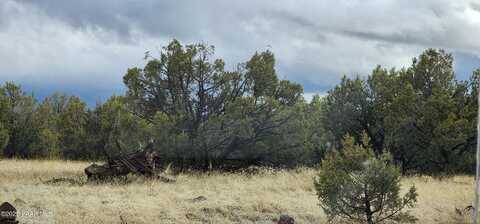 2339 N Phillip Lane, Williams, AZ 86046