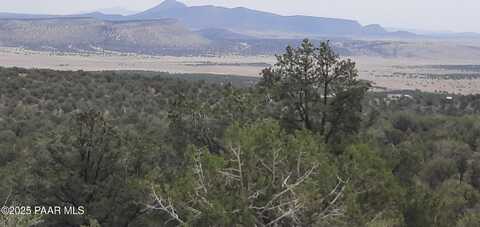 49203 N Sundance Way, Seligman, AZ 86337