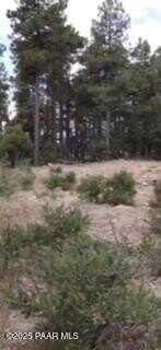 0 Tall Pine Trail, Prescott, AZ 86303