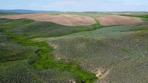 TBD County Road 29, Craig, CO 81625