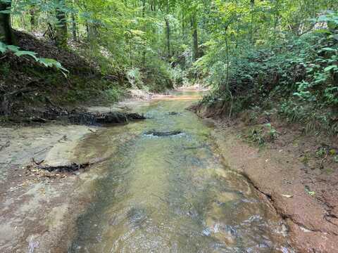 0 County Rd 17, Tuskegee, AL 36083
