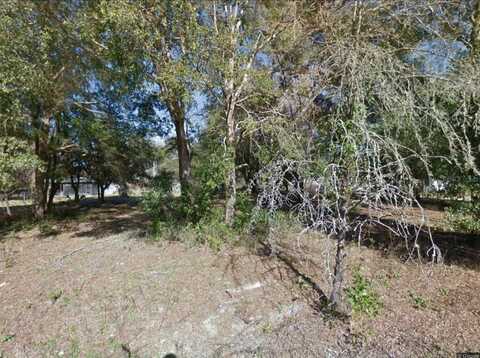 17449 Nw 89th Terrace, Fanning Springs, FL 32693