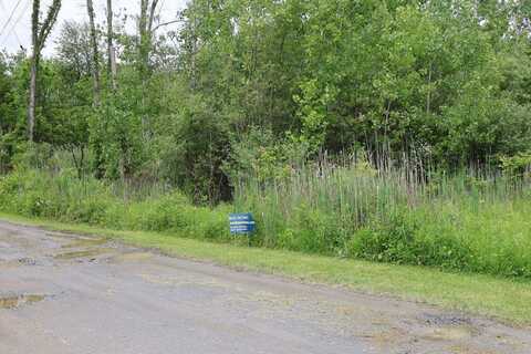 0 Bischoff Ln, Beekman, NY 12533
