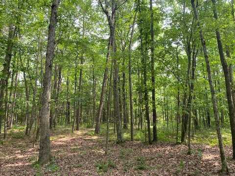 505 Yates Lane, Tumbling Shoals, AR 72546