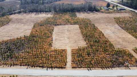 0 Highway 6, Cross, SC 29436