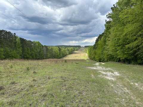 0 Ga Highway 57, McIntyre, GA 31054