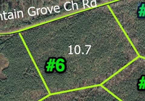 TBD Mountain Grove Church Rd, Candor, NC 27229