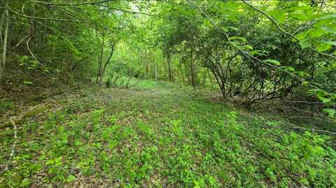 00 KY Rt 1750, East Point, KY 41216