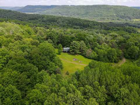3187 Wightman Rd, Wellsville, NY 14895