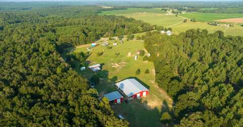 3662 Old Macon Road, Danville, GA 31017