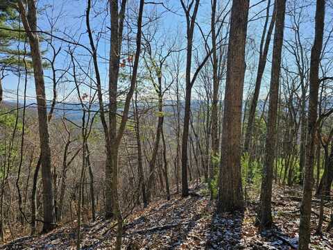 0 Bear Track Rd., Gap Mills, WV 24941