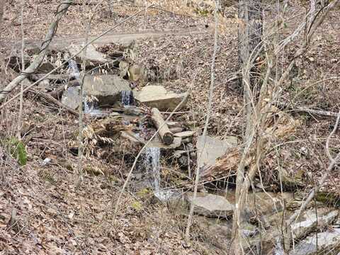Bobs Run, Alderson, WV 24910