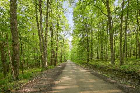 L22.22 Mud Rd, Laurens, NY 13825