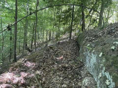 0 HWY 17, Butler, AL 36904
