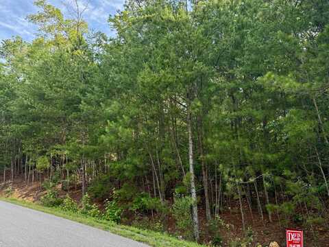 Lot 10 Shadow Wood Dr., Glencoe, AL 35905