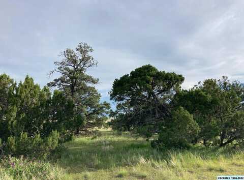 19 Coyote Tr, Datil, NM 87821