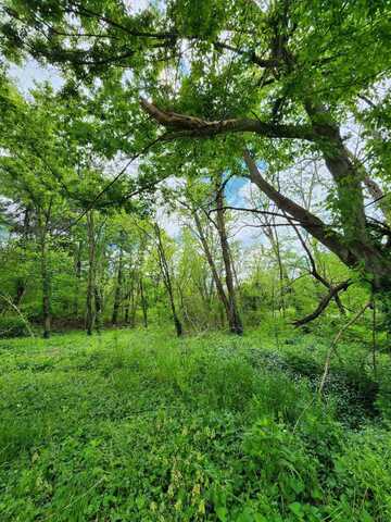 0000 Rineyville Big Springs Rd, Rineyville, KY 40162