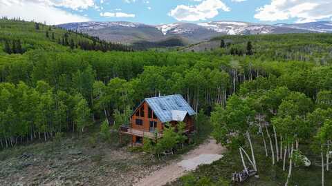 1177 Cave Creek Rd., Fairplay, CO 80440