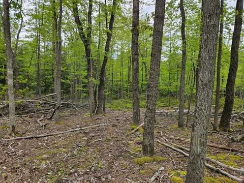0 Harters Mills Trail, Rebersburg, PA 16872