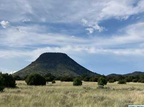 25 Coyote Tr, Datil, NM 87821