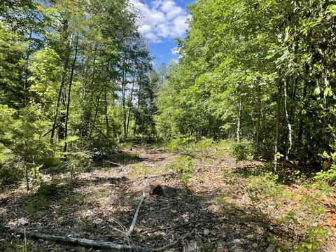 0 HWY 17, Butler, AL 36904