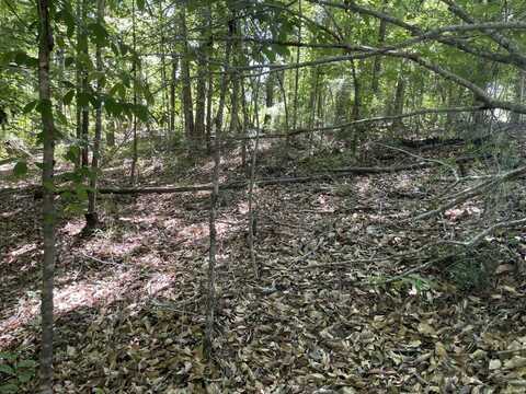 0 Hwy 17, Butler, AL 36904