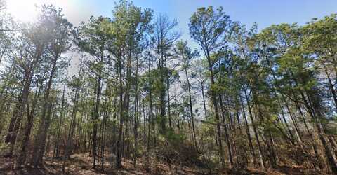 0 Sullivan Lane, Warner Robins, GA 31093