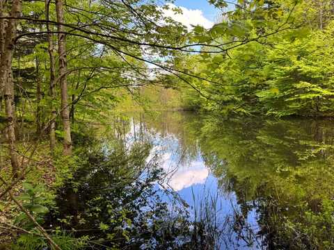 1.1 North Osceola Road, Osceola, NY 13437