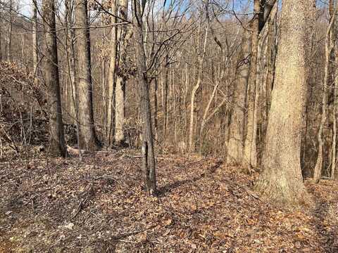 0 Needle Cragg Rd, Landrum, SC 29356