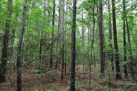 TBD Slay Rd., Olla, LA 71465