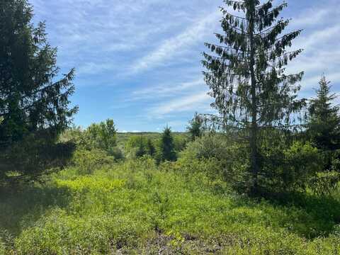 3 VL Fairview Road, Farmersville Station, NY 14060