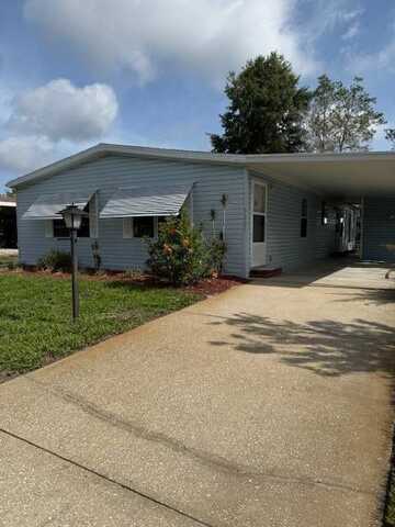 3025 Tree Frog Lane, Deland, FL 32724
