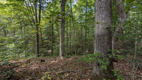 0 Bethel Road, New Plymouth, OH 45654