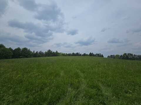 0WP County Rd 34, Norwich, NY 13815